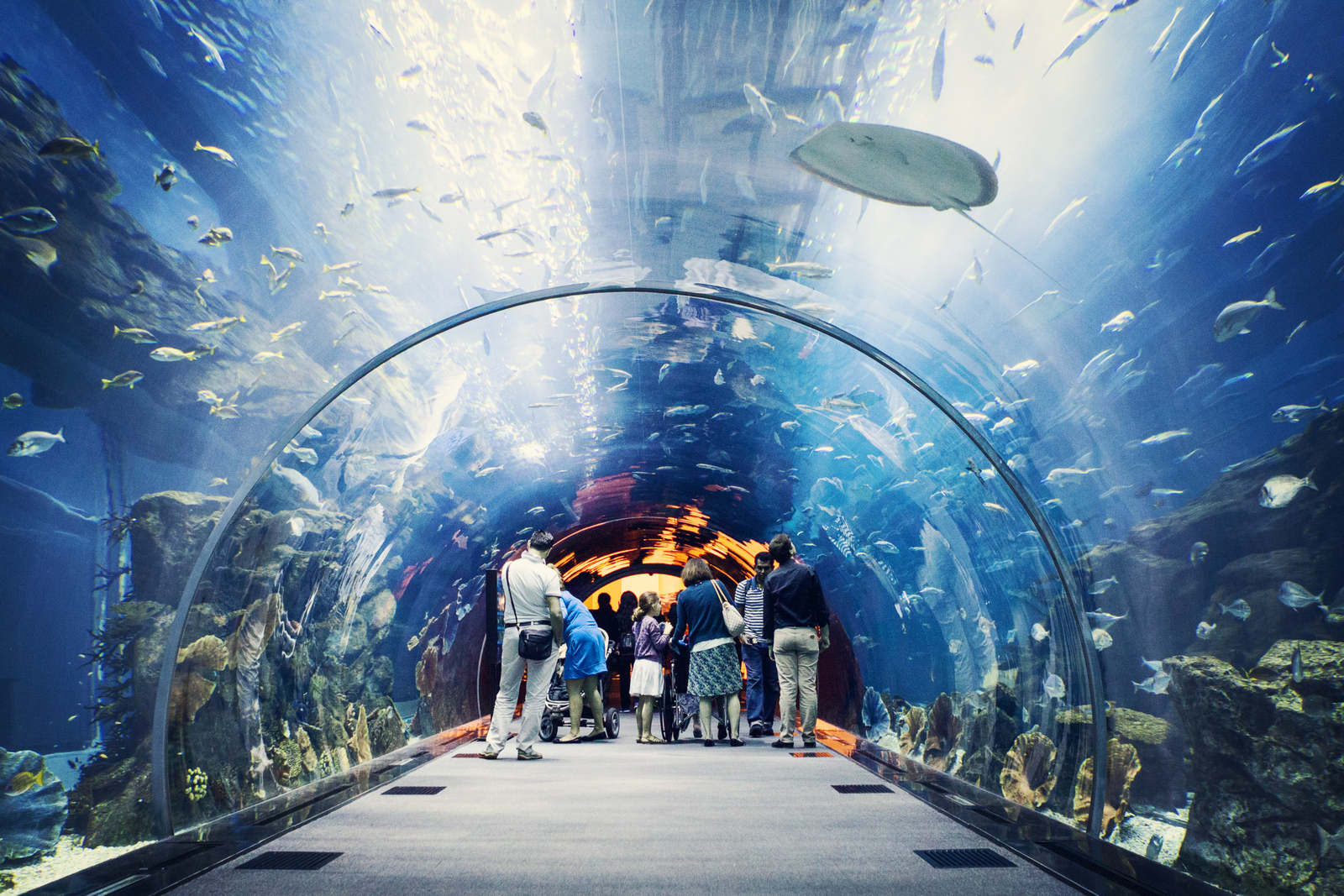 Dubai Aquarium és Underwater Zoo